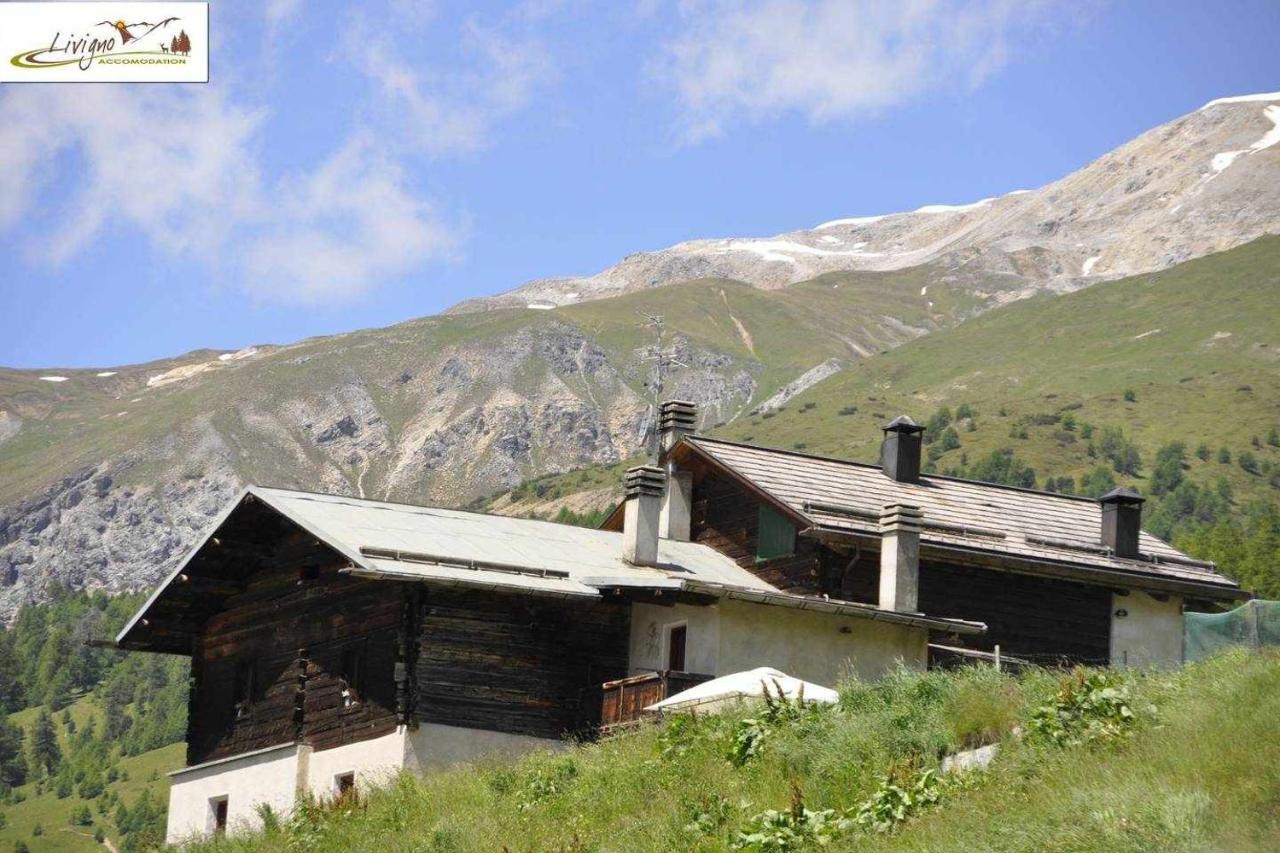 Appartamenti Green By Livigno Accomodation ภายนอก รูปภาพ