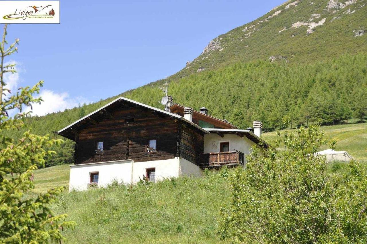 Appartamenti Green By Livigno Accomodation ภายนอก รูปภาพ