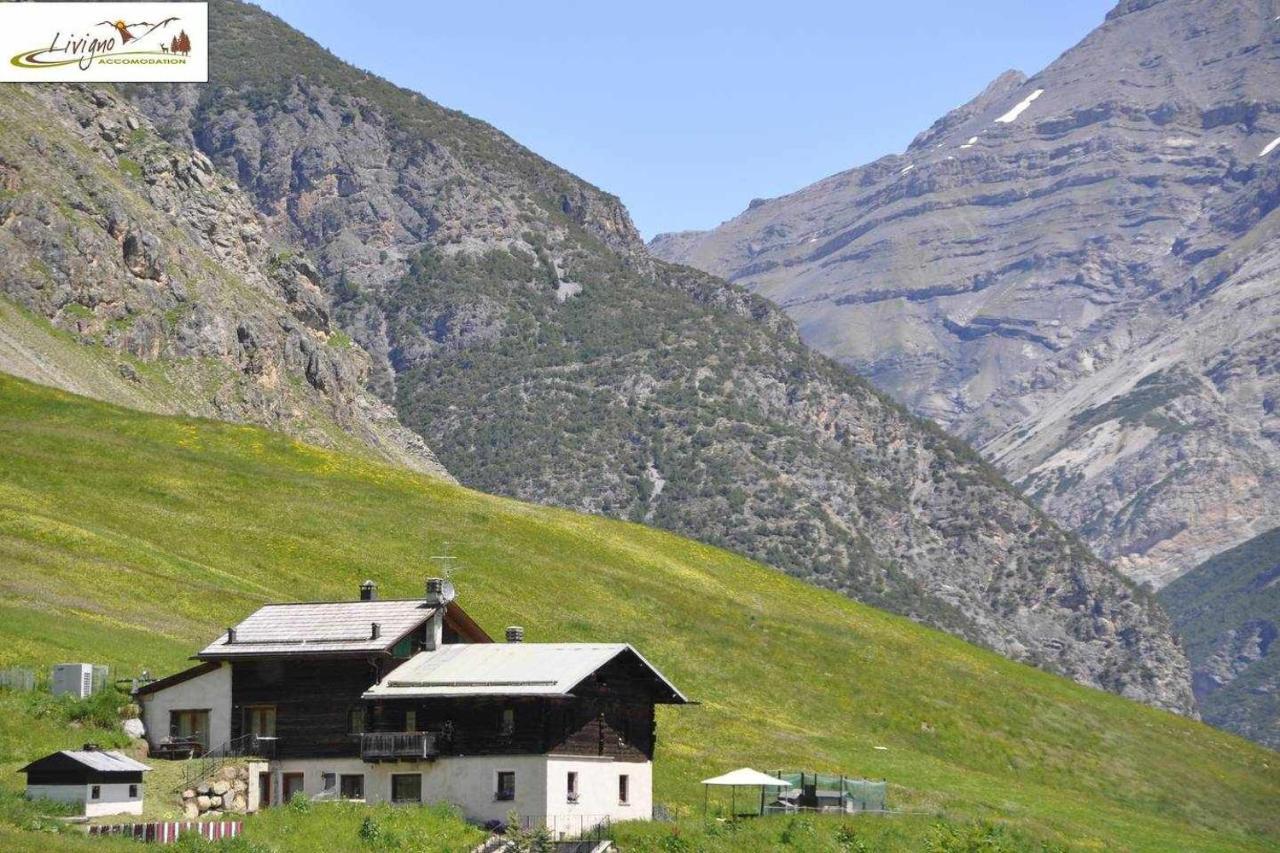 Appartamenti Green By Livigno Accomodation ภายนอก รูปภาพ