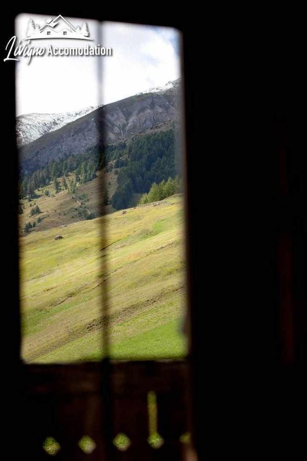 Appartamenti Green By Livigno Accomodation ภายนอก รูปภาพ